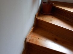 Vatra Luminoasa Mihai Coravu