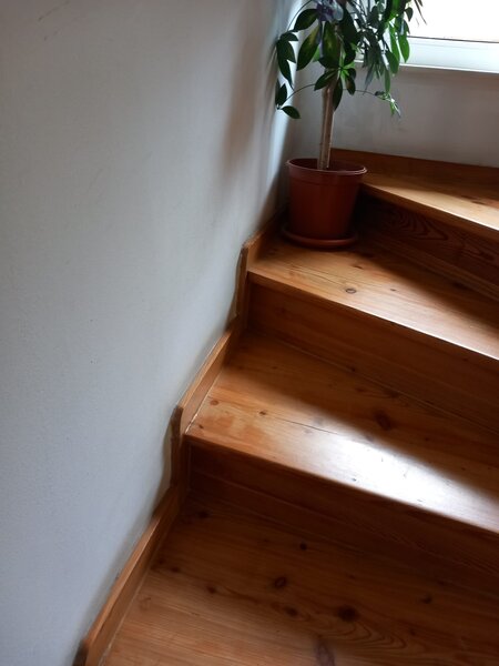 Vatra Luminoasa Mihai Coravu